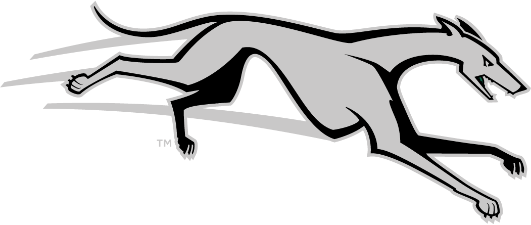 Loyola-Maryland Greyhounds 2011-Pres Partial Logo iron on transfers for T-shirts